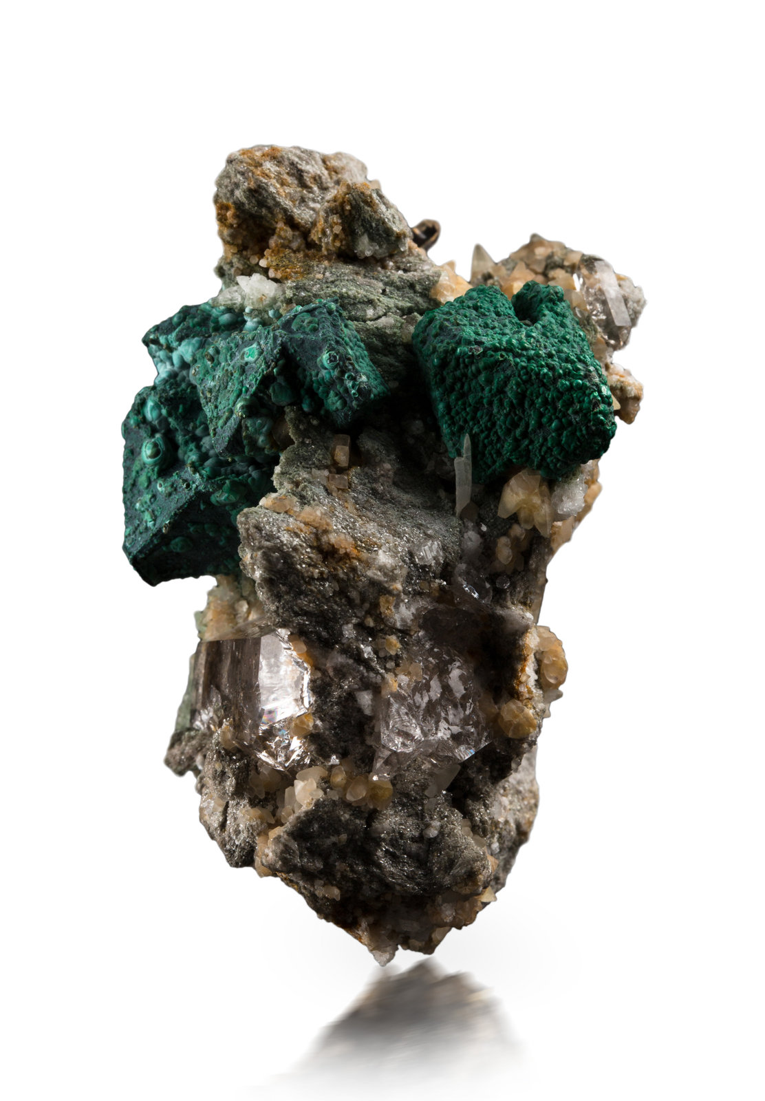 Djurleíta [Djurleite] pseudo Digenita [Digenite] y recubierta por Malaquita [Malachite]
4.5 x 4 x 7 cm / cristal principal: 1.8 cm
(Autor: Museo MIM)