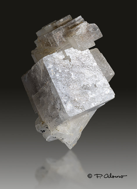 Dolomita
5 cm alto x 3 cm ancho
(Autor: Pere Alonso)
