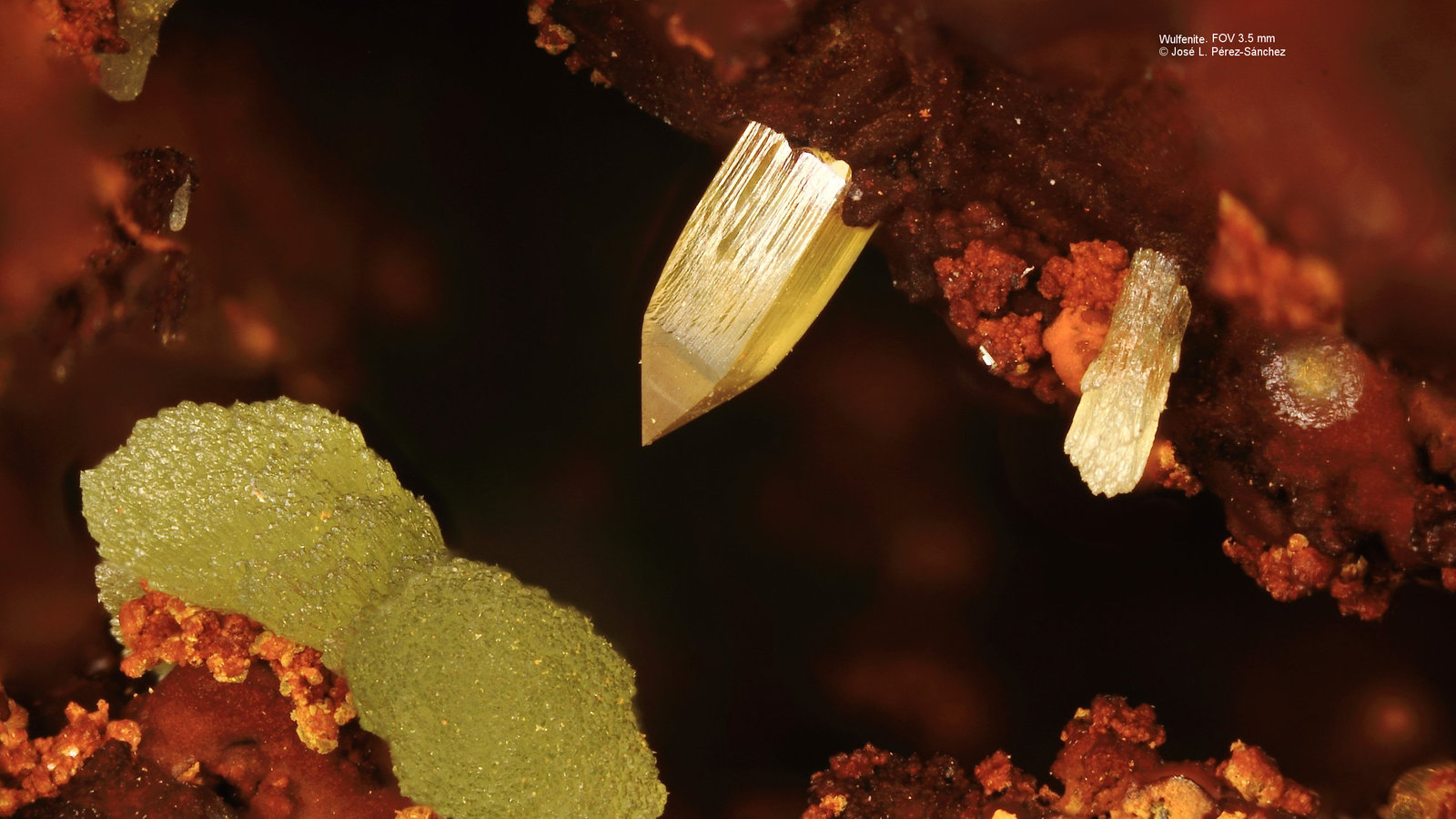 Wulfenita
Campo de visión 3,5 mm
(Autor: Vinoterapia)