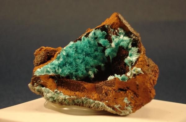 Auricalcita
5X6 cm.
(Autor: Echevarria)