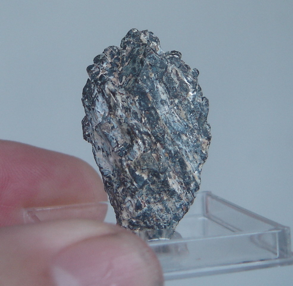 Fergusonita-(Y)
3,7 x 1,8 x 1,5 cm
(Autor: Anisio Claudio)
