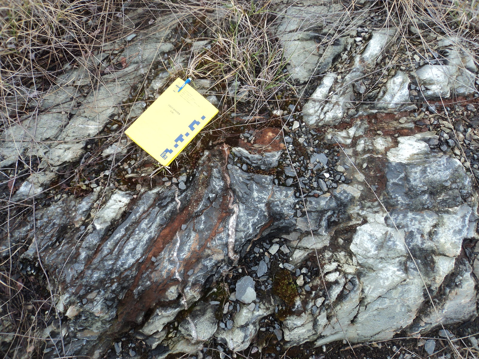 (Autor: Raul Vancouver)