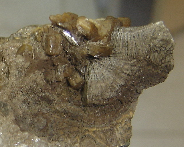 Stellerita (Estellerita) y Calcita
6 x 6 x 4 cm
(Autor: Anisio Claudio)