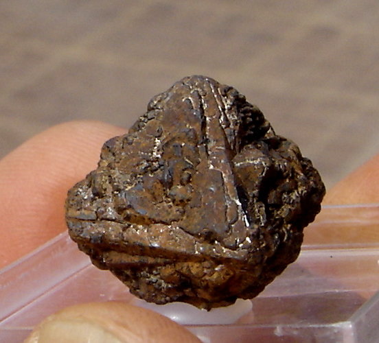 limonita pseudo Pirita
0,9 x 0,9 x 0,7 cm
(Autor: Anisio Claudio)