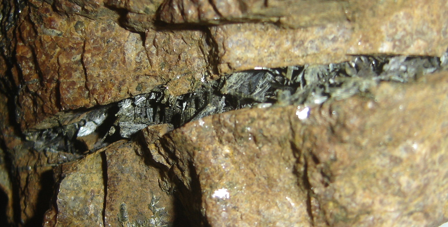 Anfíbol (Actinolita-Tremolita) y Granate
16 x 2 cm
(Autor: Anisio Claudio)