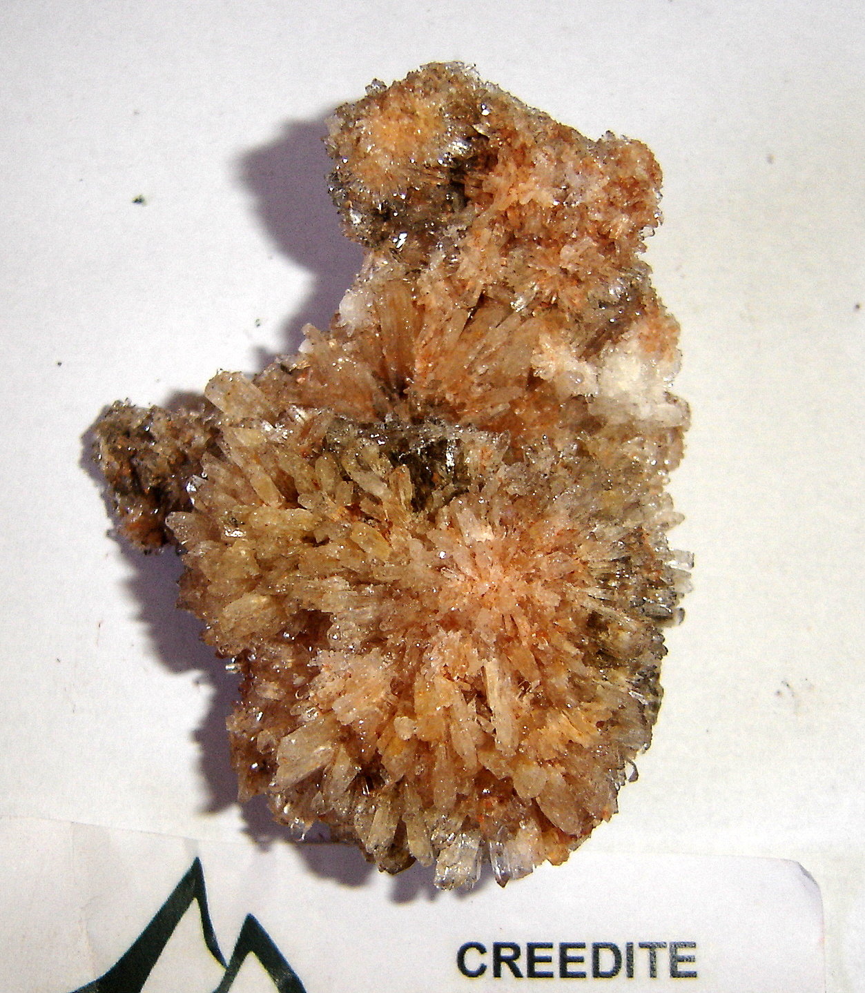 Creedita
7 x 4 x 3,8 cm
(Autor: Anisio Claudio)