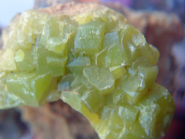 Piromorfita
Cristales mayores 4 o 5 milímetros.
(Autor: apita)