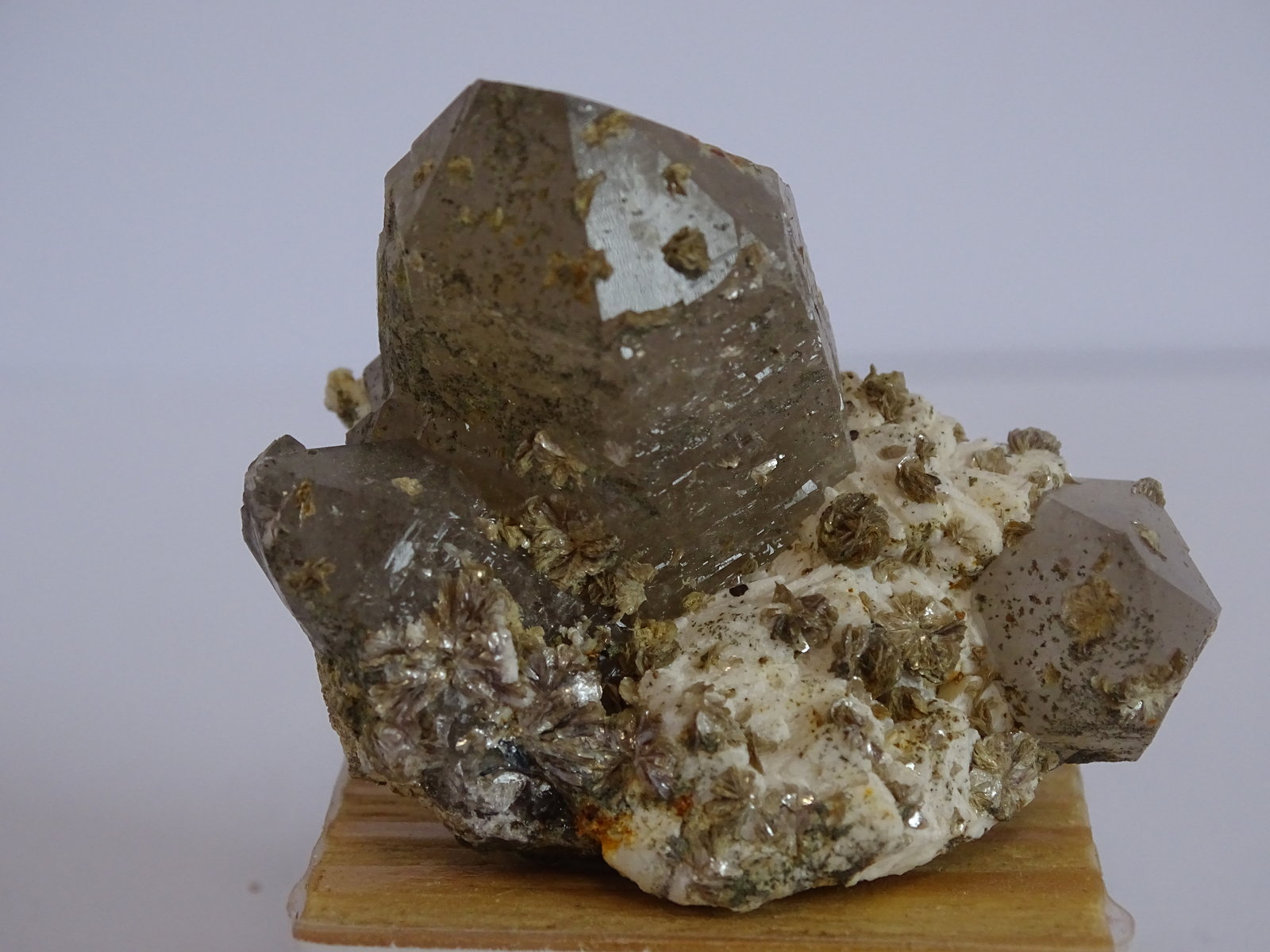 cuarzo (variedad ahumado) y mica
50 x 40 mm
(Autor: Ambrosio Pardo)