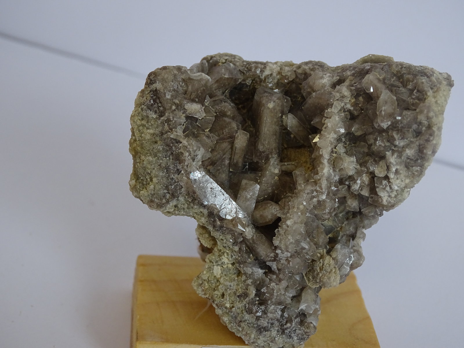 celestina
60 x 60 mm
(Autor: Ambrosio Pardo)