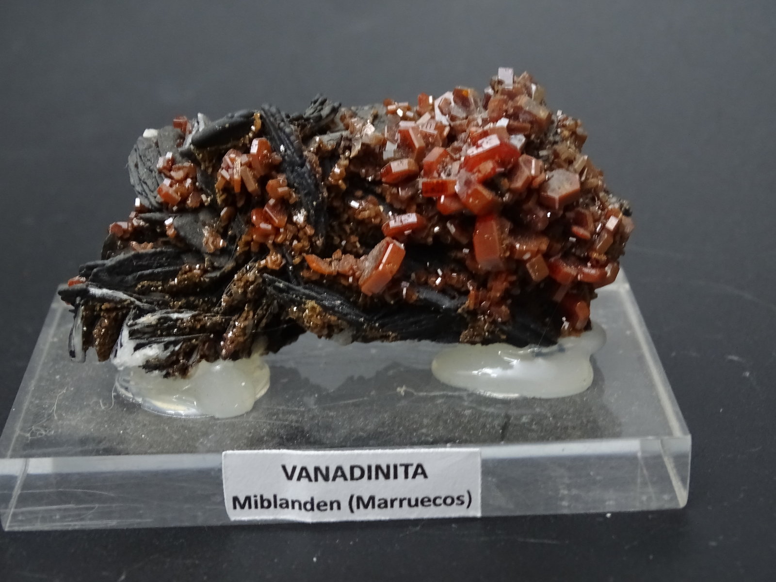 vanadinita
65 x 35 mm
(Autor: Ambrosio Pardo)