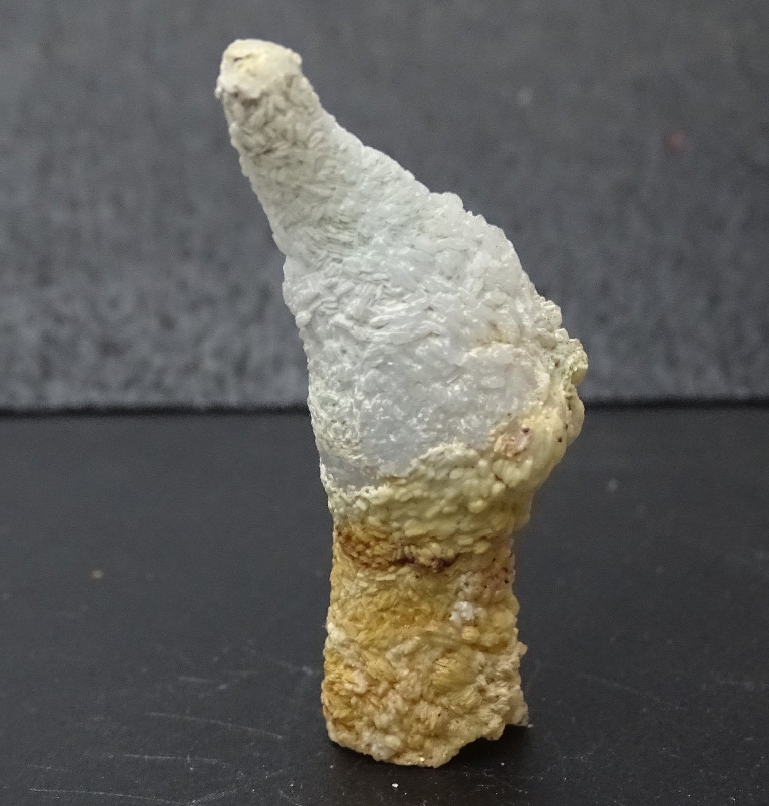 celestina
55 x 20 mm
(Autor: Ambrosio Pardo)