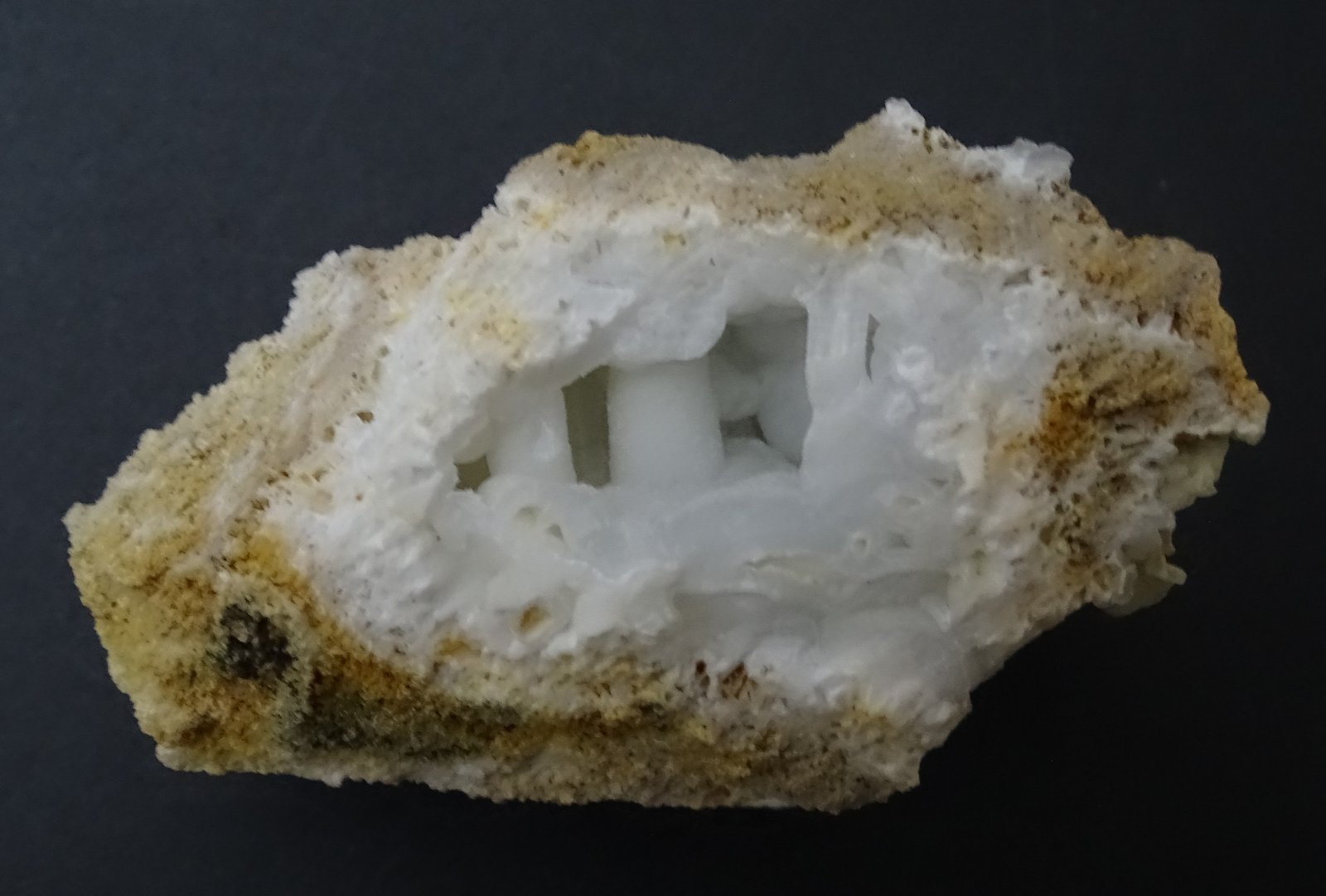 celestina
70 x 40 mm
(Autor: Ambrosio Pardo)