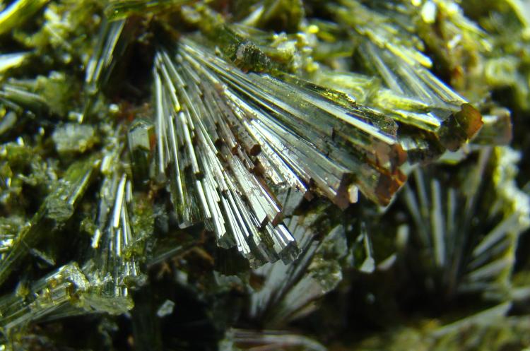 Epidota
Abanico de 1.8 cm
(Autor: D.N.S.Borràs)