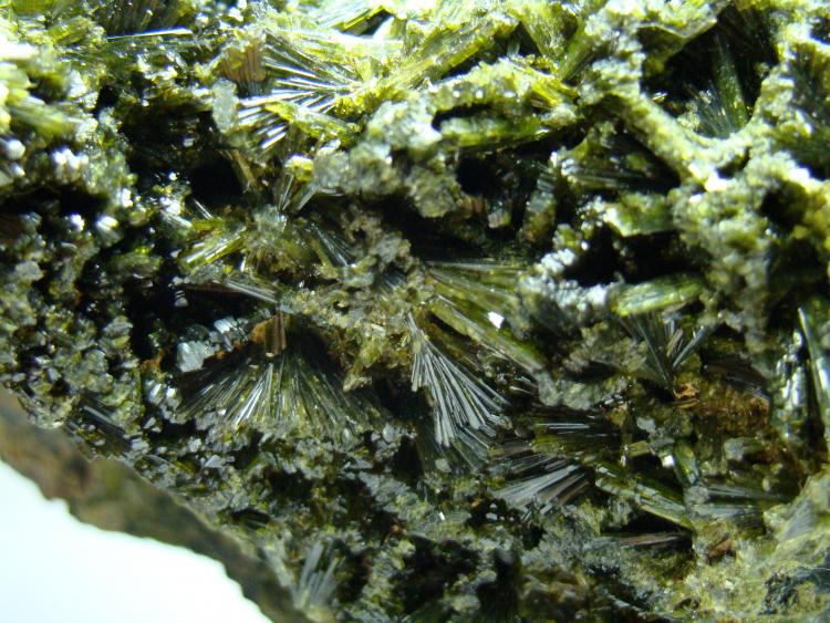 (Autor: D.N.S.Borràs)