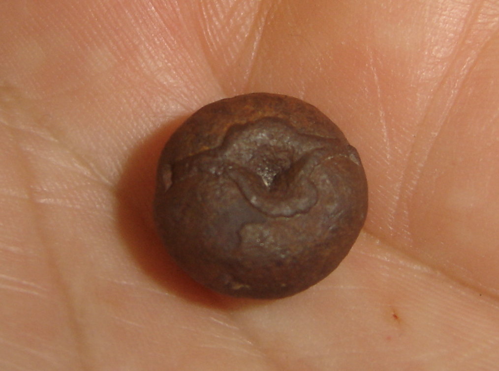 Goethita
1,2 x 1,2 x 0,8 cm
(Autor: Anisio Claudio)