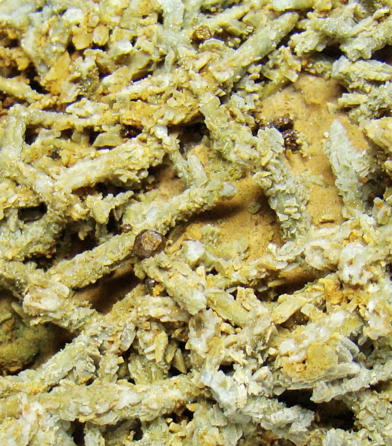 Microclina, moscovita (variedad sericita), pirita
Cristal 3 mm. aprox.
(Autor: D.N.S.Borràs)