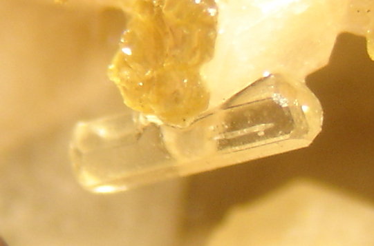 Apatito (Grupo)
3 x 0,6 x 0,6 mm
(Autor: Anisio Claudio)