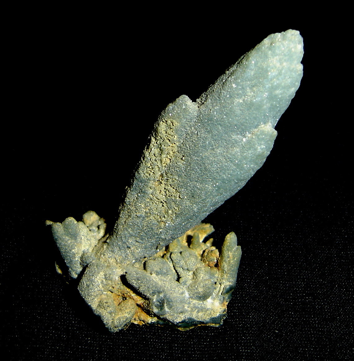 Cuarzo (variedad prasio)
5,2 x 1,2 x 1,3 cm
(Autor: Anisio Claudio)
