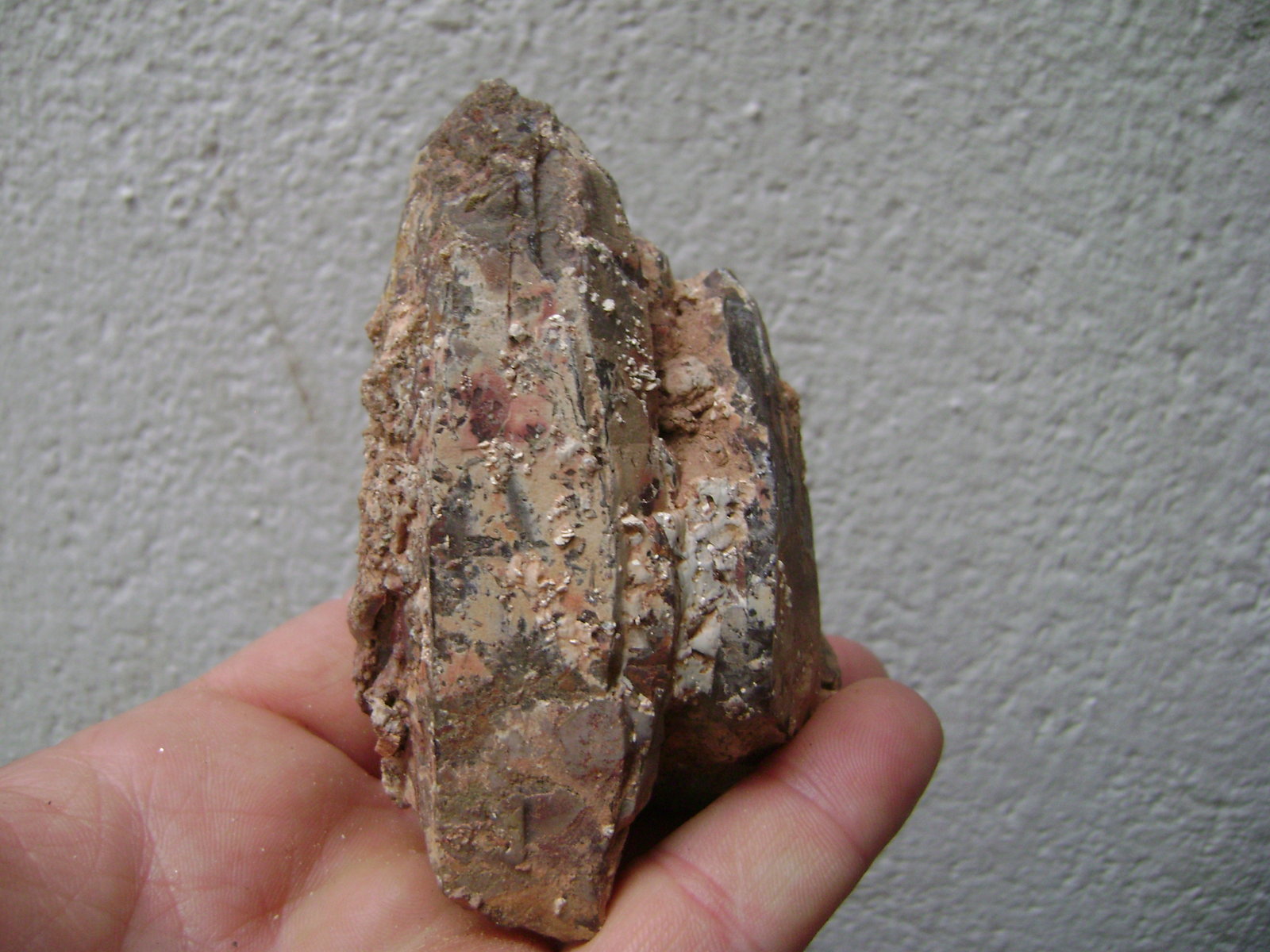 Cuarzo (variedad ahumado) e Hidroxilapatito
9 x 5 x 5 cm.
(Autor: P. apita)