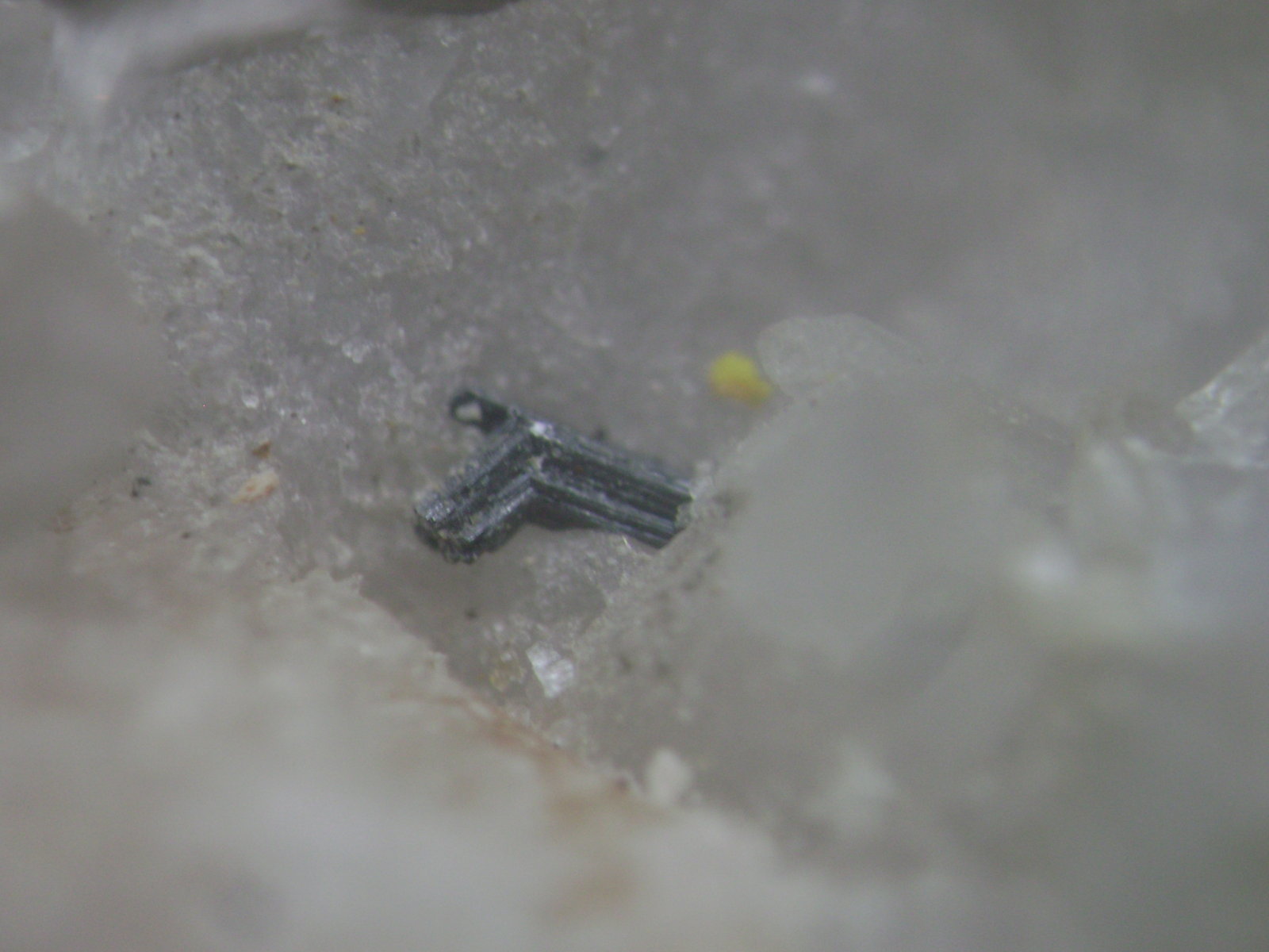 Arsenopirita
2 x 1 mm
(Autor: P. apita)