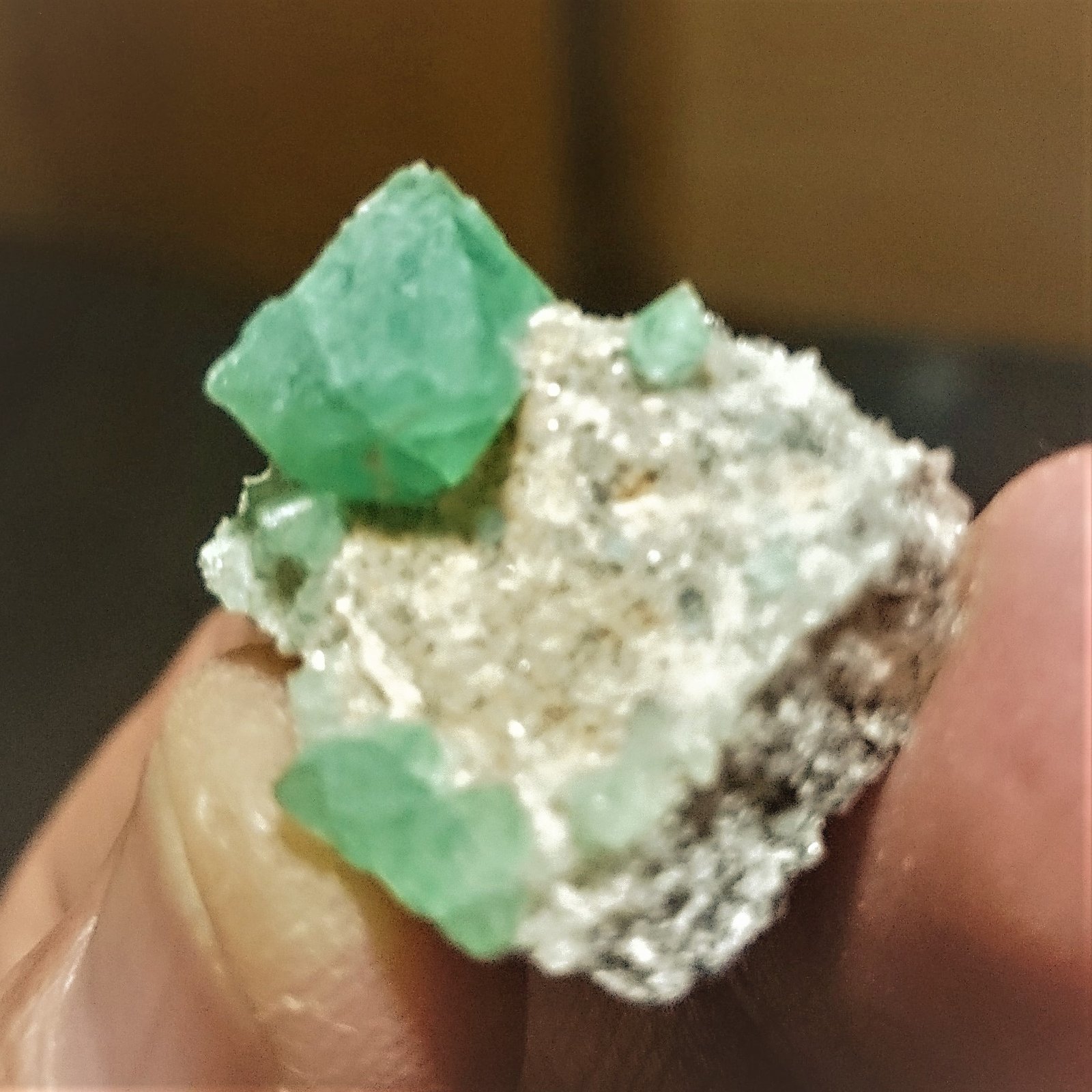 Fluorita
3 cm x 2,5 cm
(Autor: Alex y Diana)