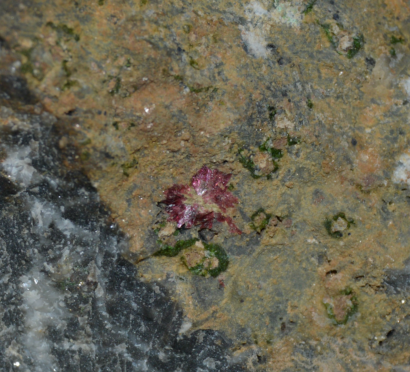 Eritrita
0.5cm x 0.5cm
(Autor: DPC)