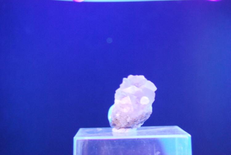 Fluorita
3 cm.
(Autor: Jose Bello)