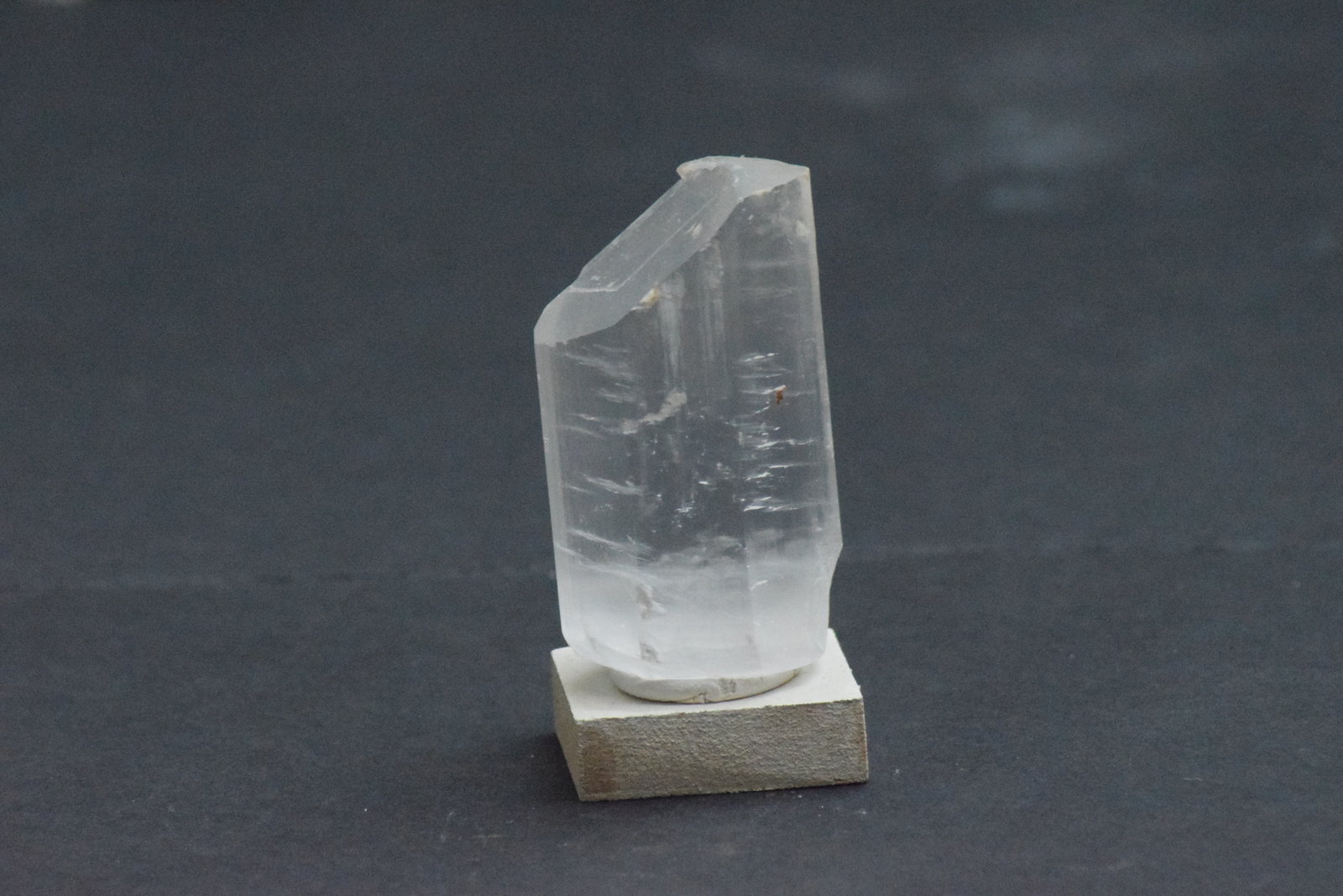 Yeso
6 x 4 x 3 cm
(Autor: Antonio Alcaide)