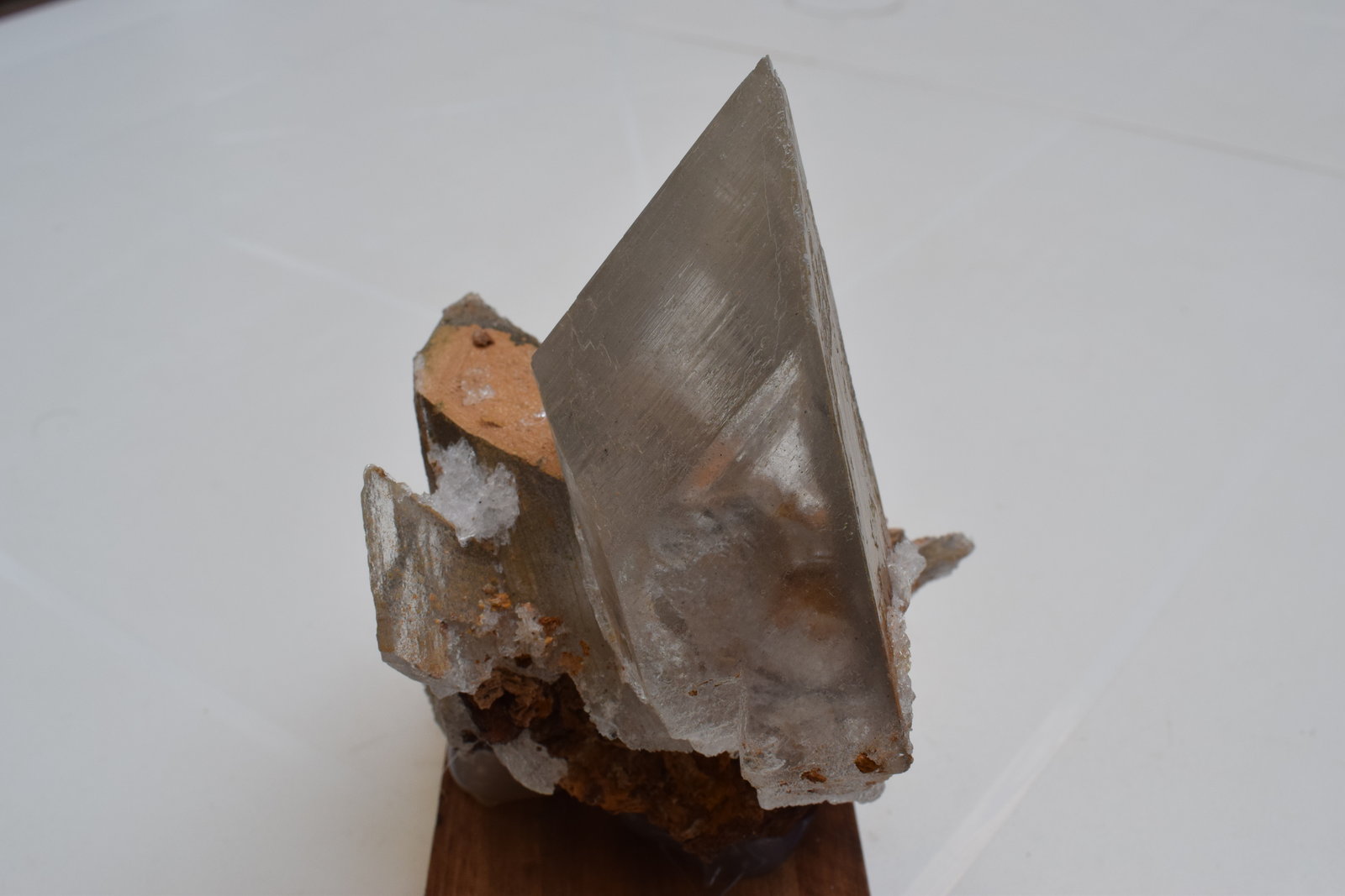 Yeso
11 x 9 x 6 cm
(Autor: Antonio Alcaide)