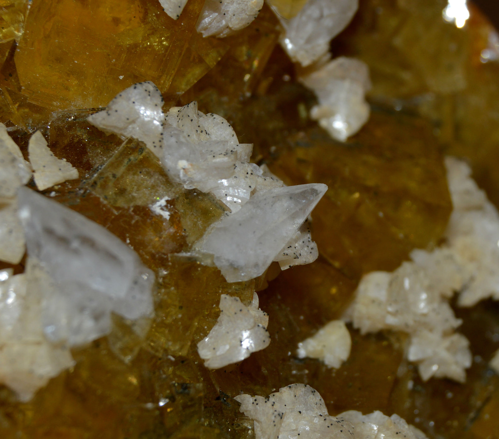 Calcita, Fluorita
1 cm. el cristal central
(Autor: DPC)
