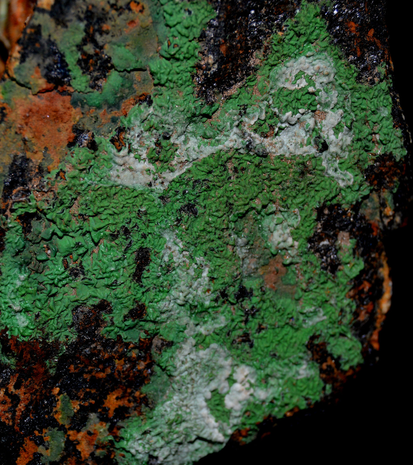 Conicalcita
4,5cm x 4cm
(Autor: DPC)