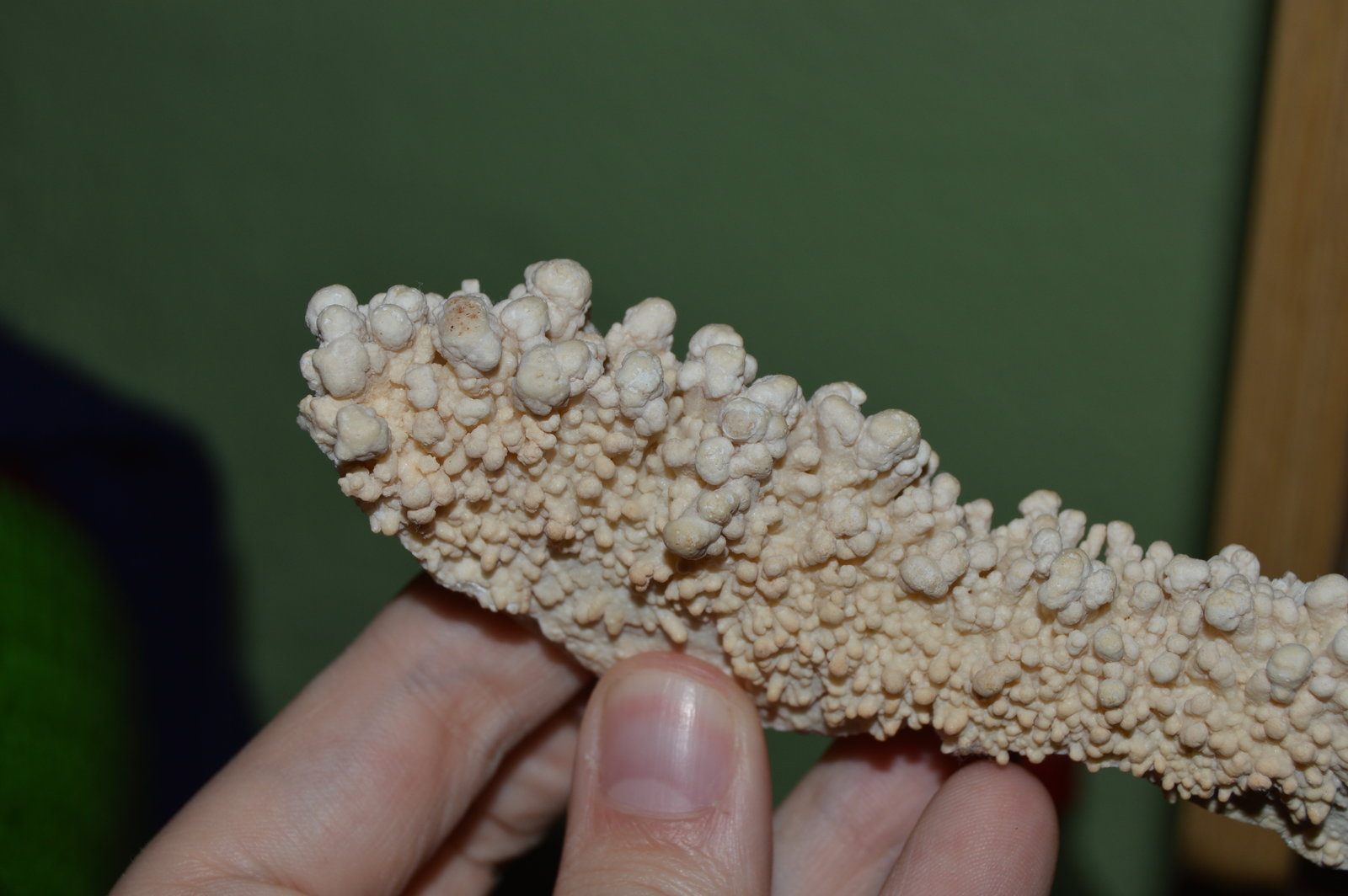 Aragonito
11 x 4,5 cm.
(Autor: DPC)