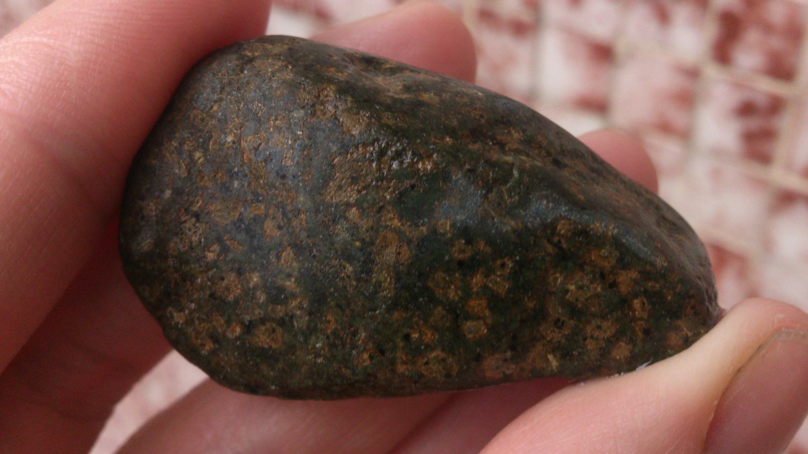 Microgabro (ofita)
5 cm.
(Autor: MSegador)