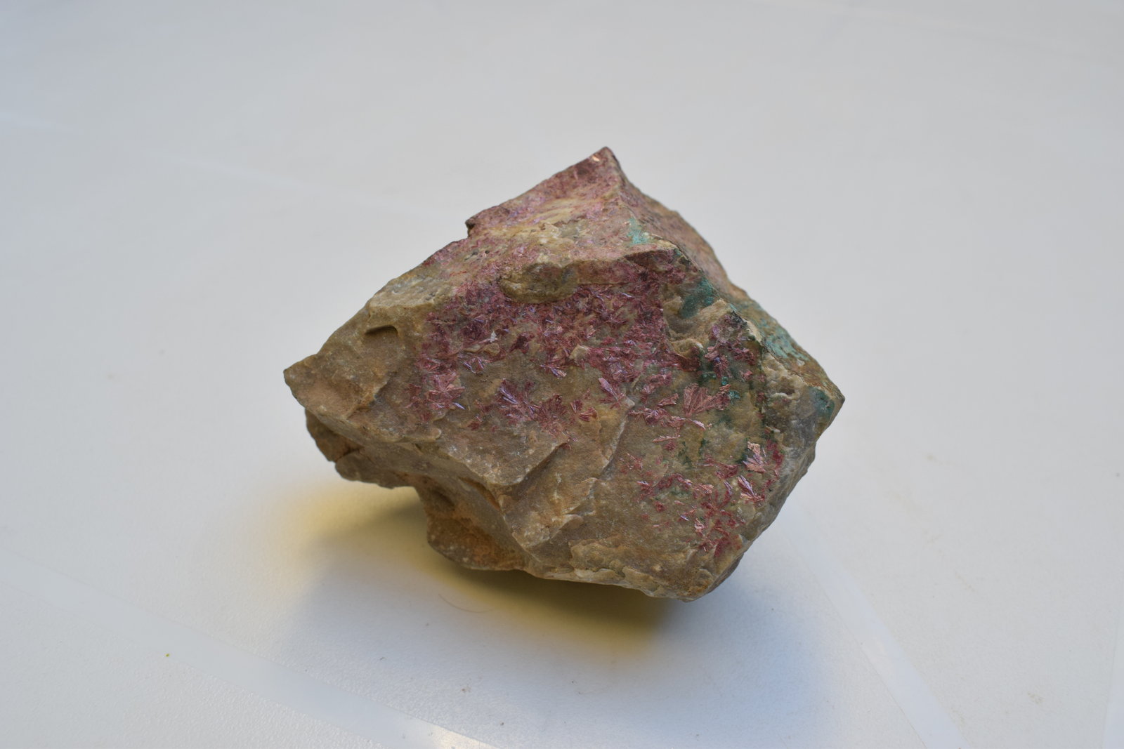 Eritrina
6 x 6 x 3 cm
(Autor: Antonio Alcaide)