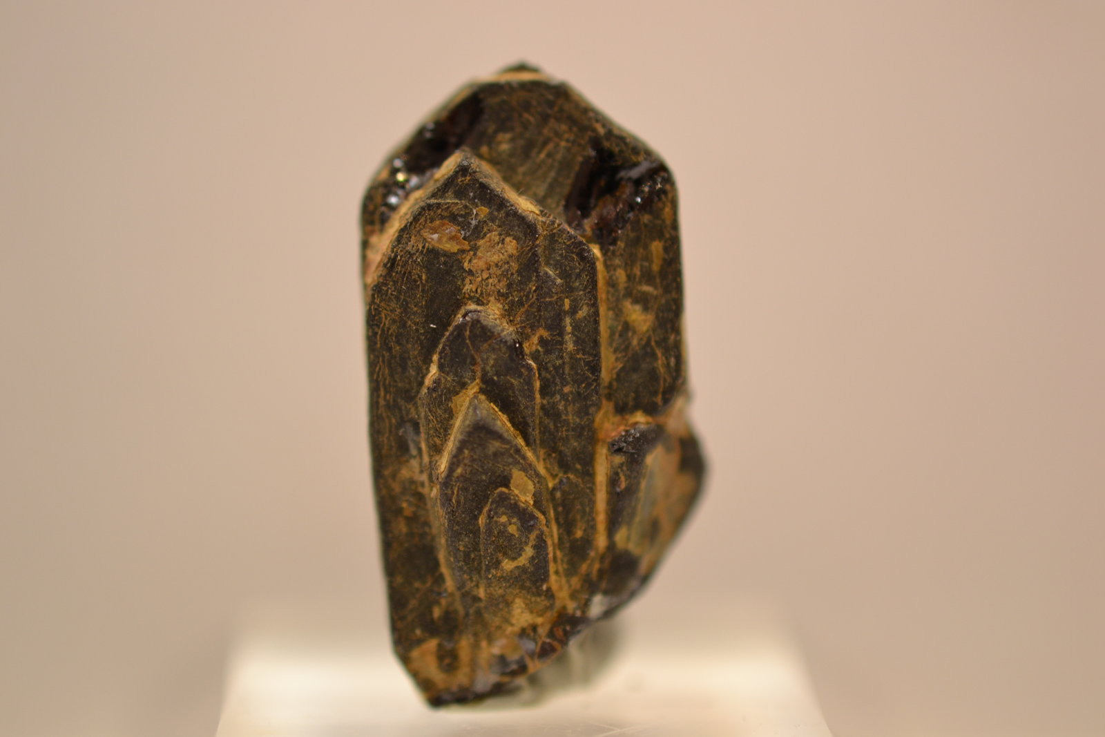 Euxenita-(Y)
2,5 x1,2 x 0,8 cm
(Autor: Raúl S. Llorente)