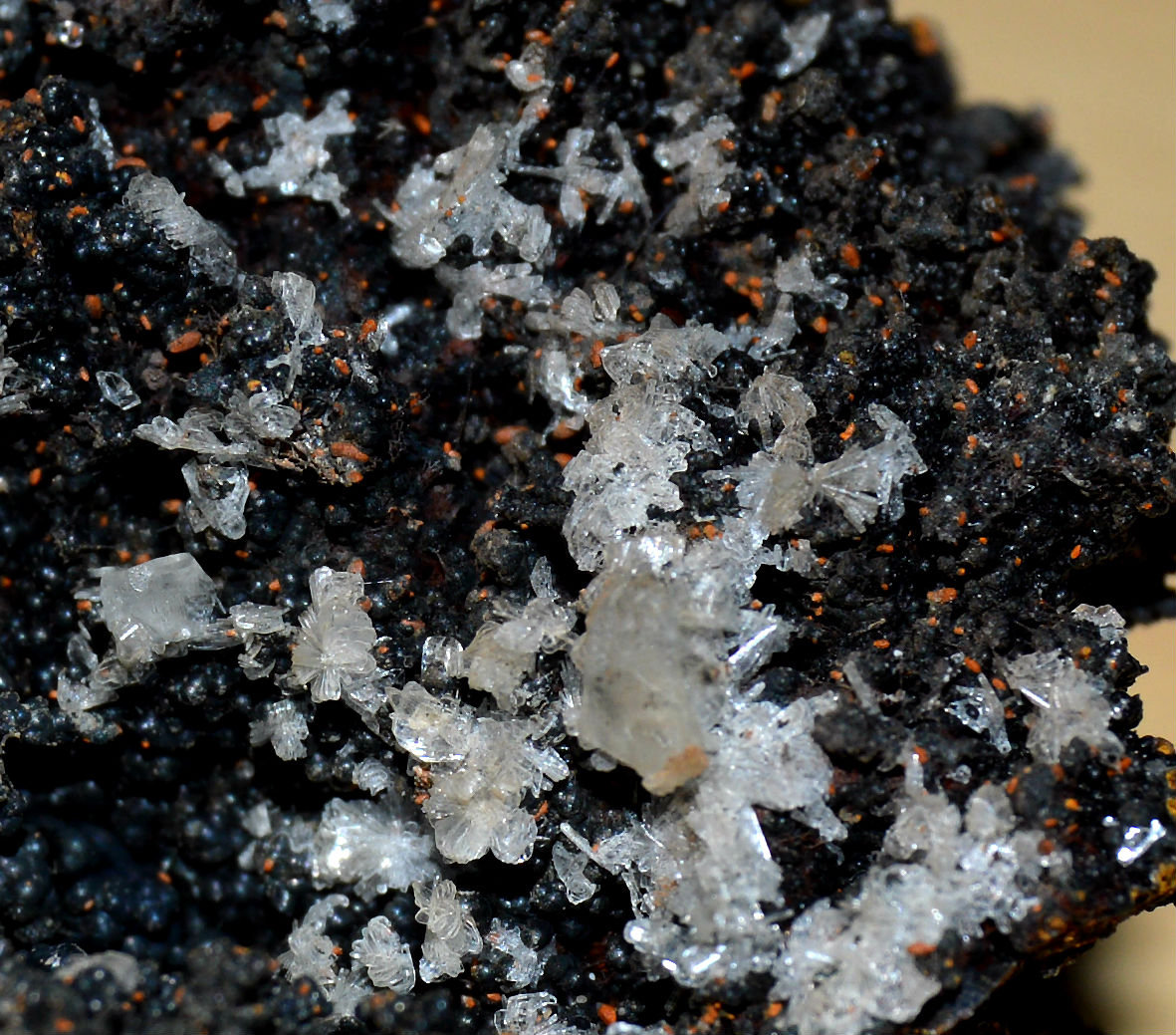 Calcofanita y Hemimorfita
10mm x 12mm
(Autor: DPC)