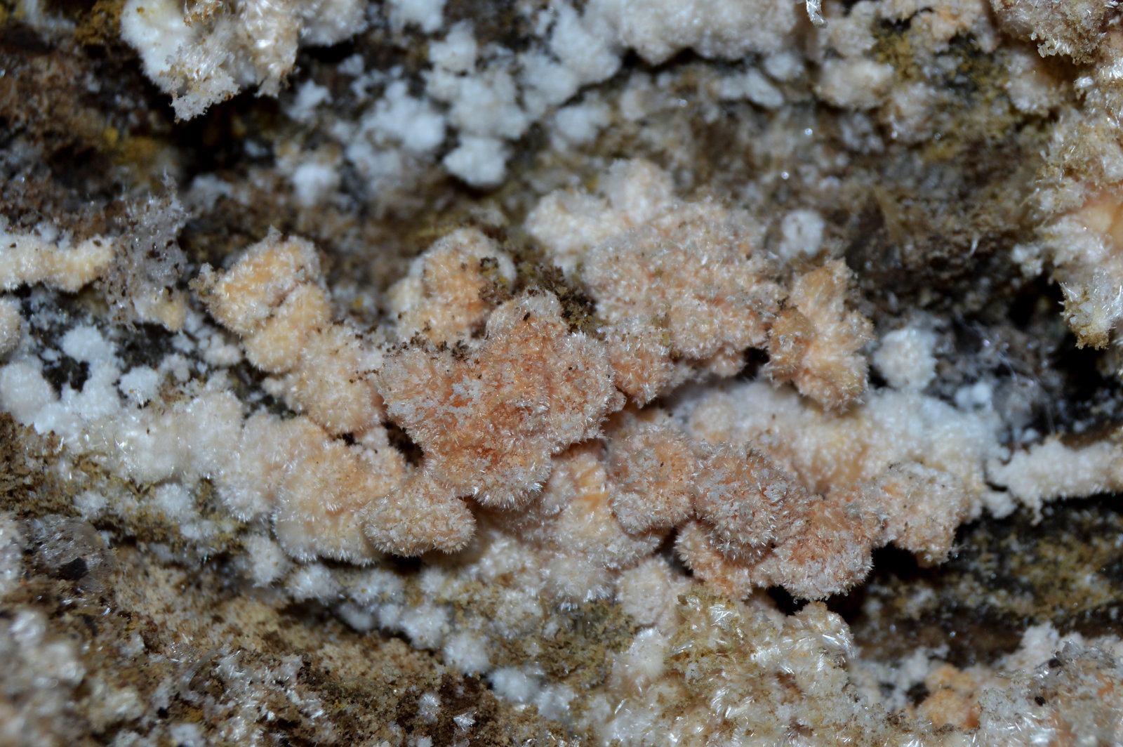 Pickeringita
5cm x 4cm
(Autor: DPC)