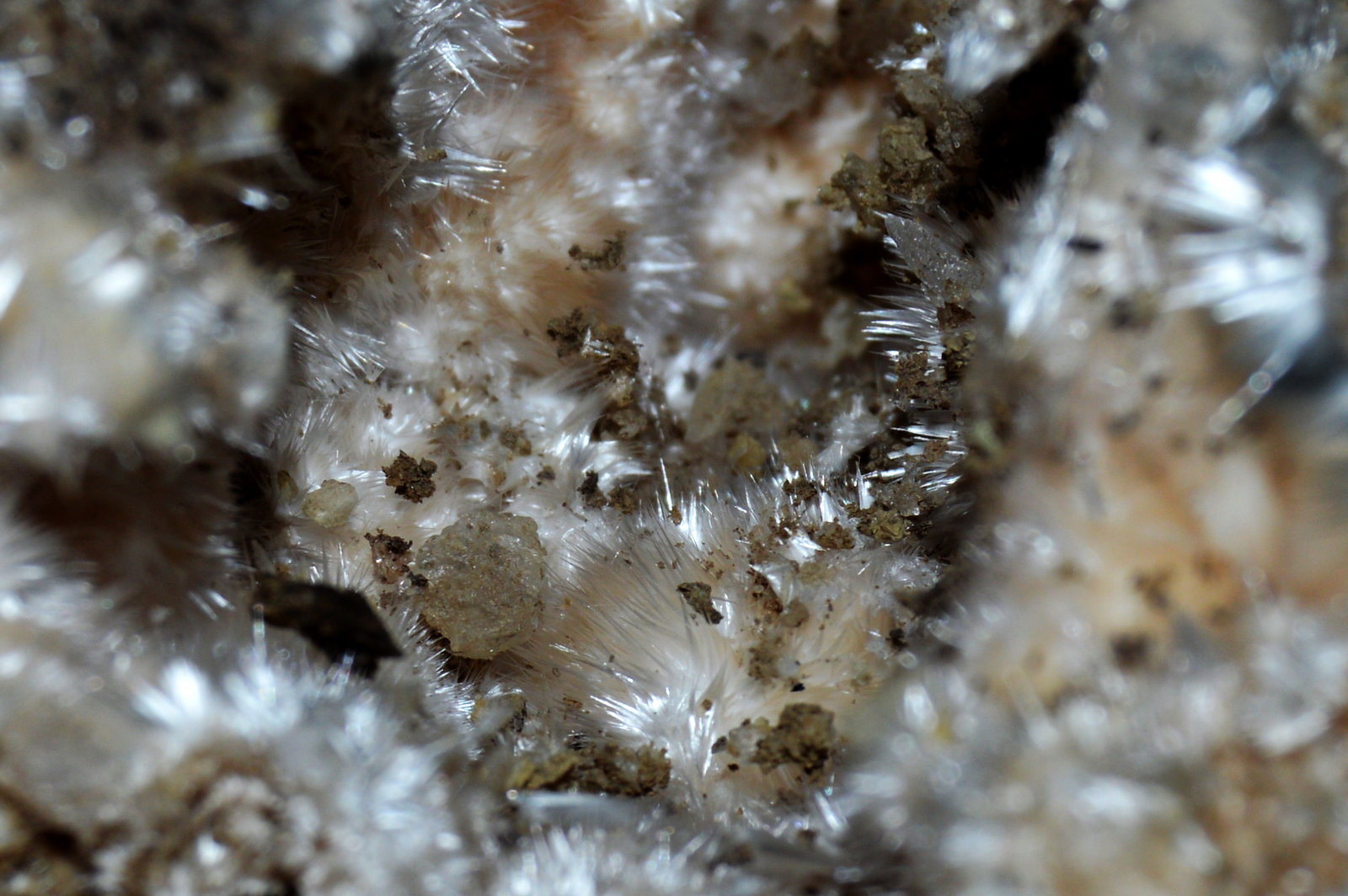 Pickeringita
1cm x 1 cm
(Autor: DPC)