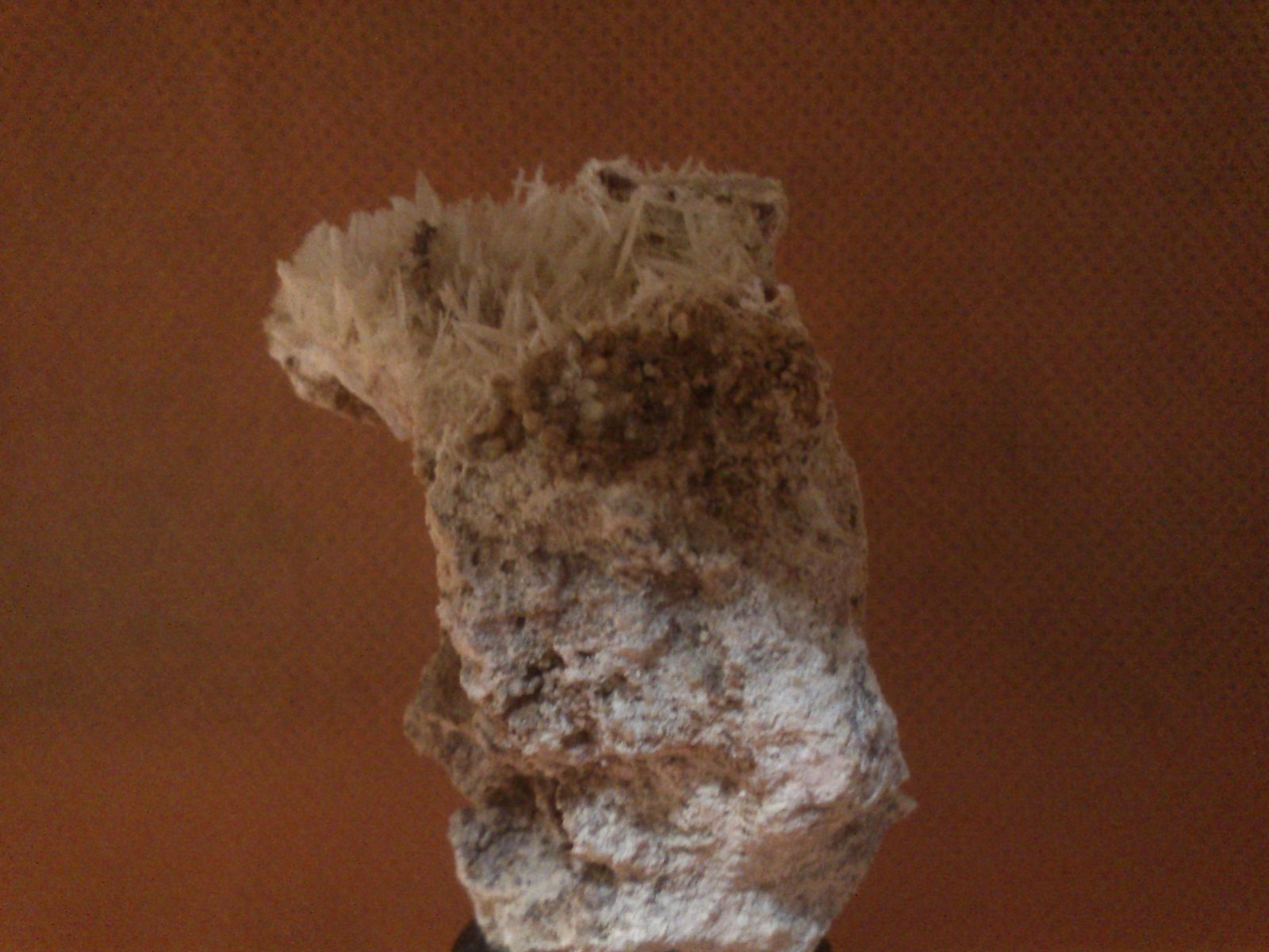 Celestina
5 x 3,5 x 3 cm
(Autor: Jose Maria  Valderrama)
