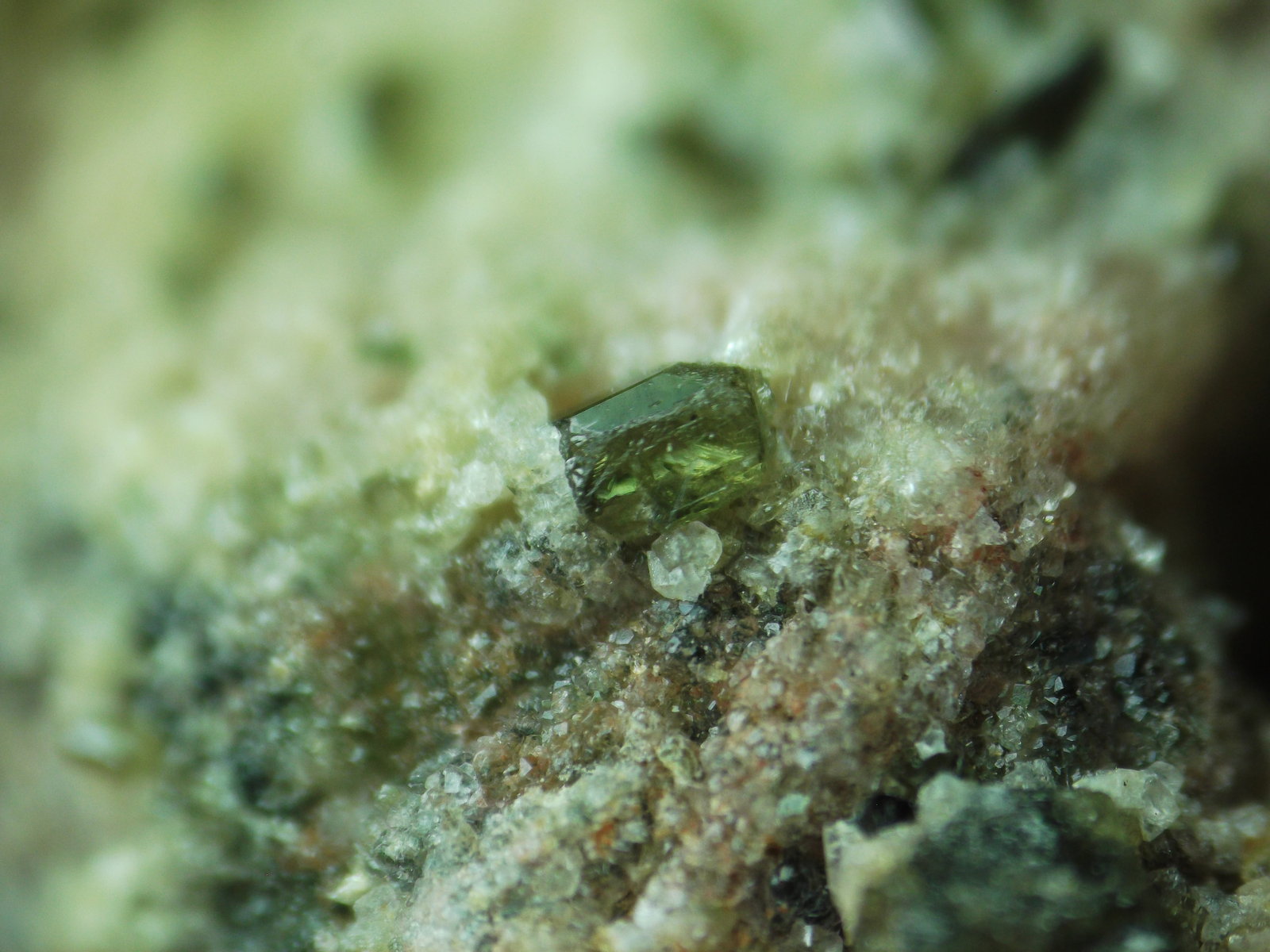 Epidota, Analcima y Prehnita
7 mm de ancho de campo
(Autor: Alvaro2121)