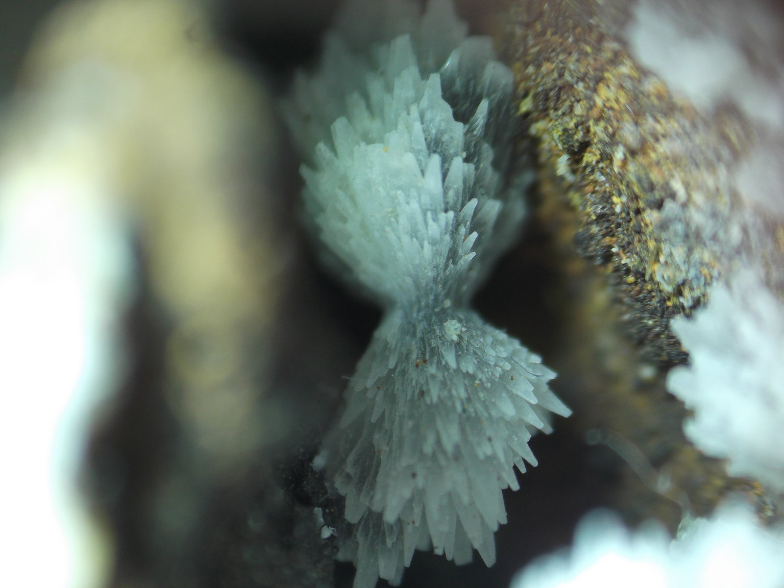 Estroncianita
7 mm de ancho de campo
(Autor: Alvaro2121)