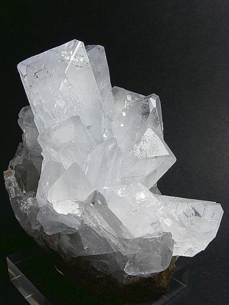 Celestina
6.5 x 5 cm.
(Autor: Juan Cabezas)
