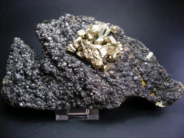 Pirita sobre magnetita
19 x 11cm. Cristal mayor de pirita: 2 cm.
(Autor: Juan Cabezas)