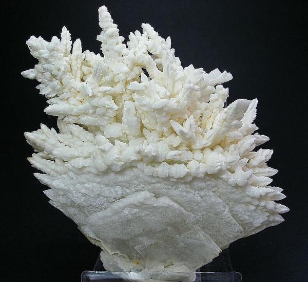 Barita
8 x 7 cm.
(Autor: Juan Cabezas)