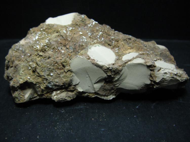 Tinticita.
9 x 5 x 2 cm.
(Autor: Carles Rubio)