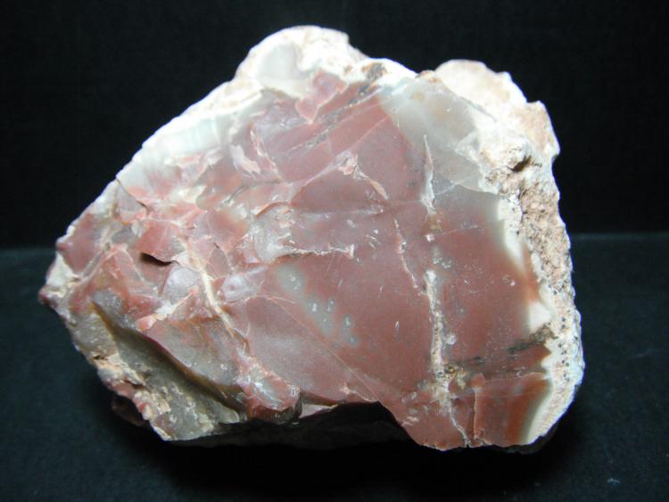 Jaspe.
8 x 7 cm.
(Autor: Carles Rubio)