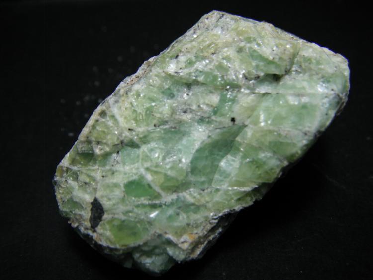 Alofana
5,5 x 4 x 3 cm.
(Autor: Carles Rubio)