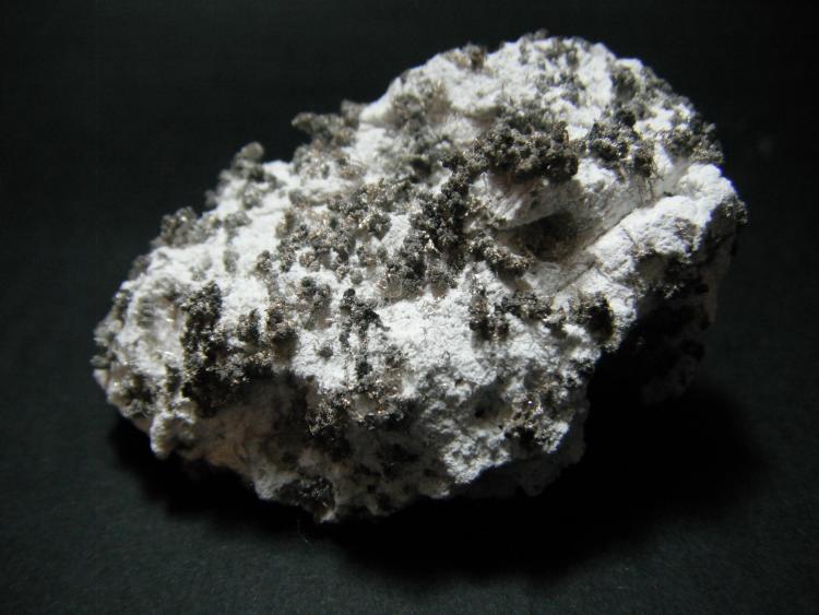Plata.
5 x 4 x 3 cm.
(Autor: Carles Rubio)