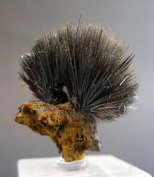 Pirolusita
2 x 1 cm.
(Autor: Juan Cabezas)