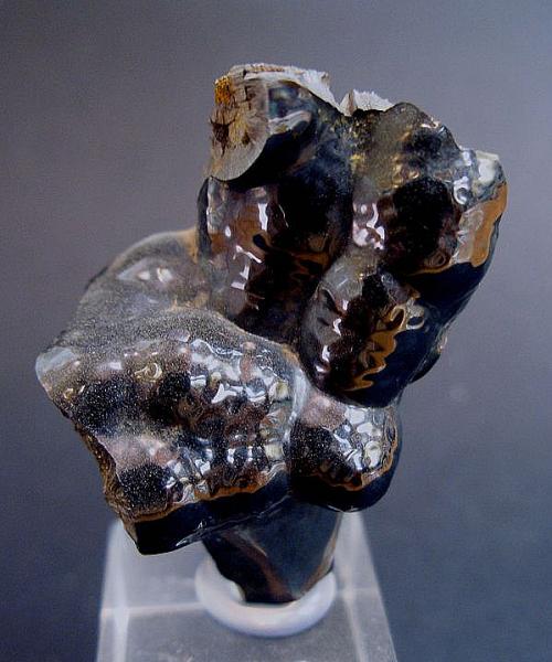 Goethita.
2.5 x 2 cm.
(Autor: Juan Cabezas)